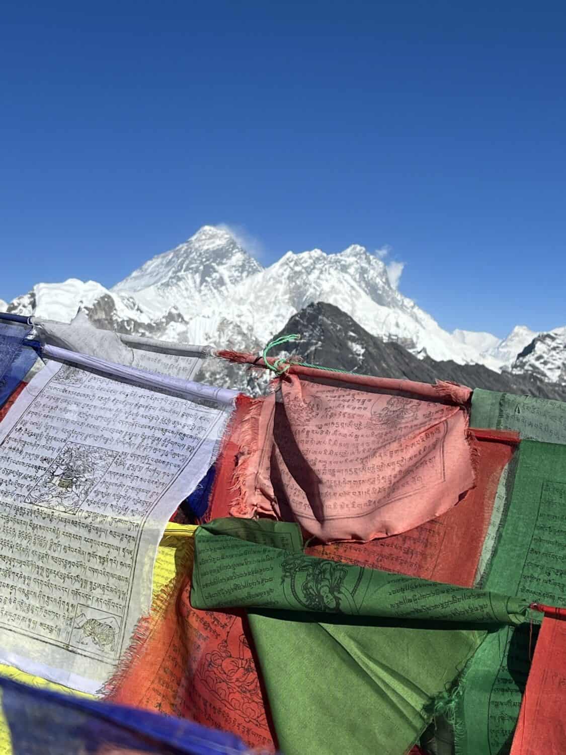 The Sherpa Way: Leadership Journeys in Nepal
